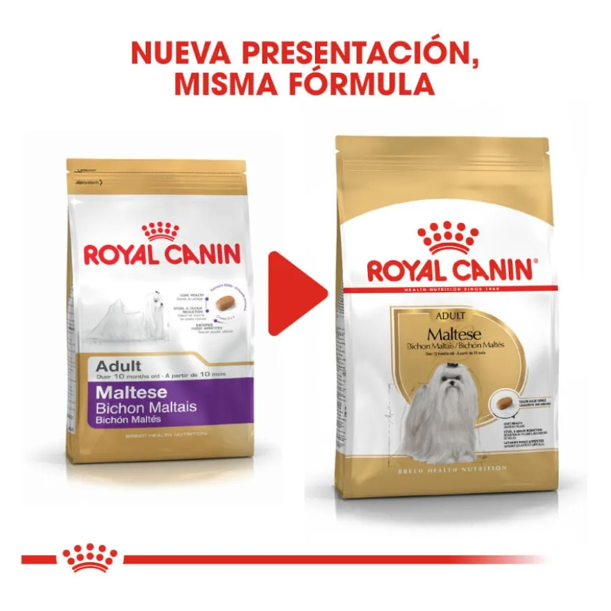 Royal Canin Adult Bichón Maltês ração para cães