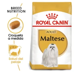 Royal Canin Adult Bichón Maltês ração para cães