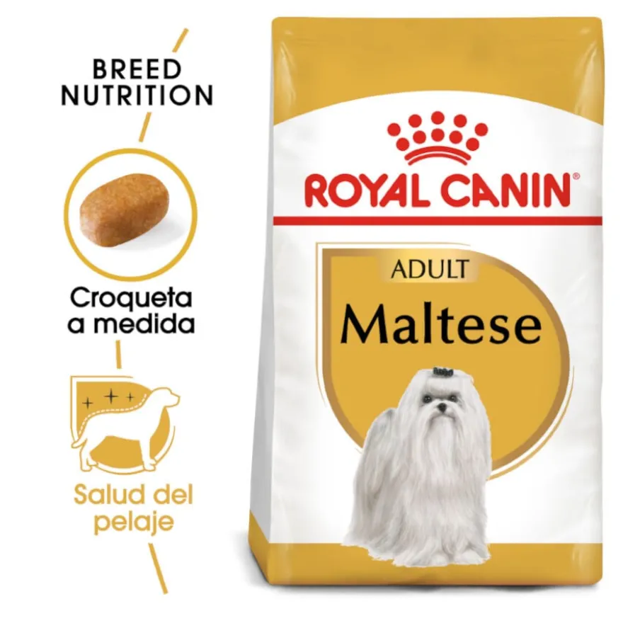 Royal Canin Adult Bichón Maltês ração para cães