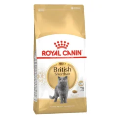 Royal Canin Adult British Shorthair ração para gatos