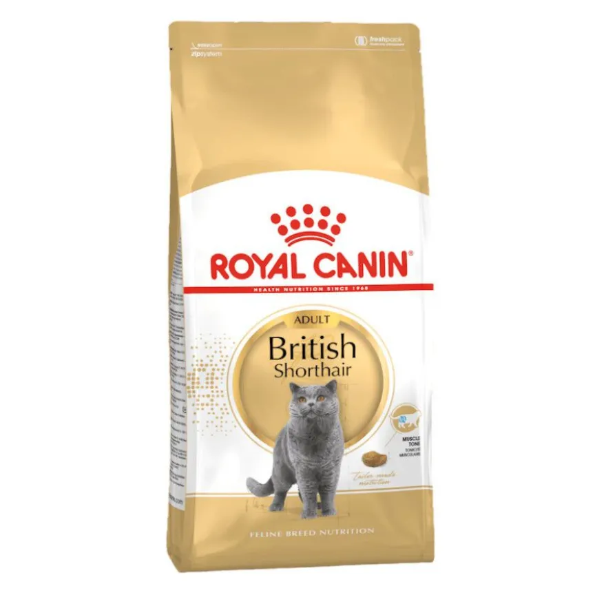 Royal Canin Adult British Shorthair ração para gatos
