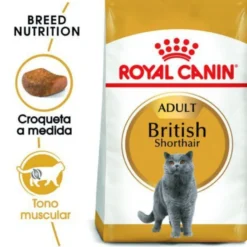 Royal Canin Adult British Shorthair ração para gatos