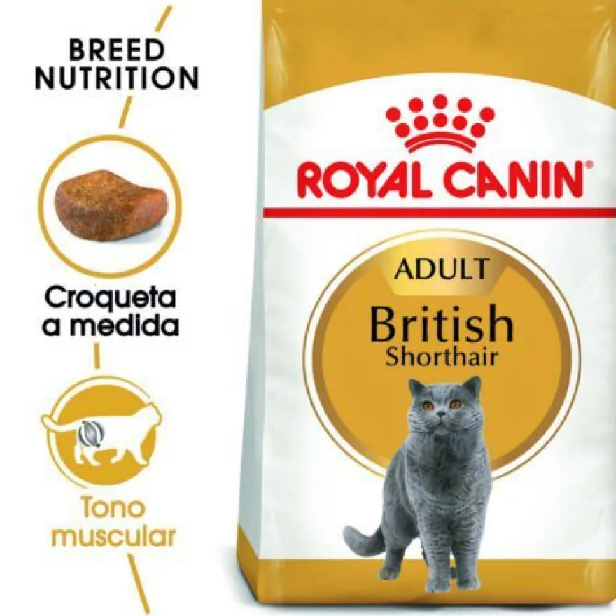 Royal Canin Adult British Shorthair ração para gatos