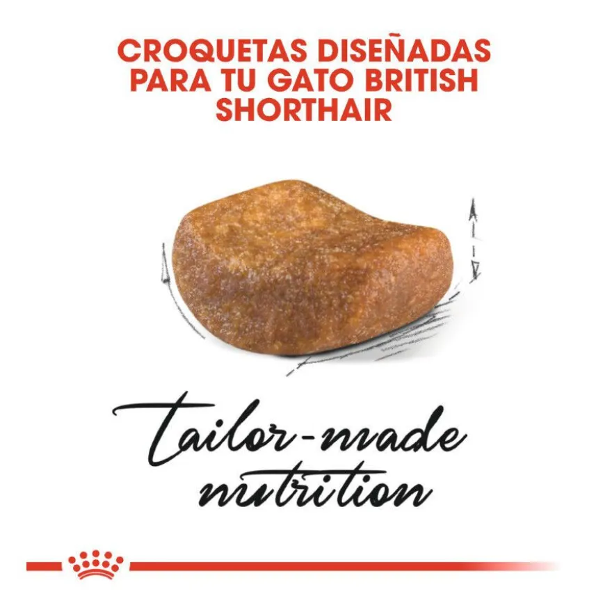 Royal Canin Adult British Shorthair ração para gatos
