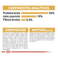 Royal Canin Adult British Shorthair ração para gatos