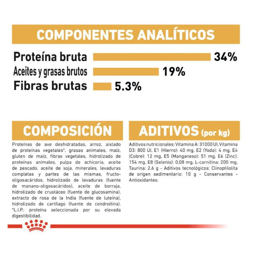 Royal Canin Adult British Shorthair ração para gatos
