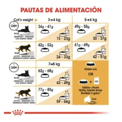 Royal Canin Adult British Shorthair ração para gatos
