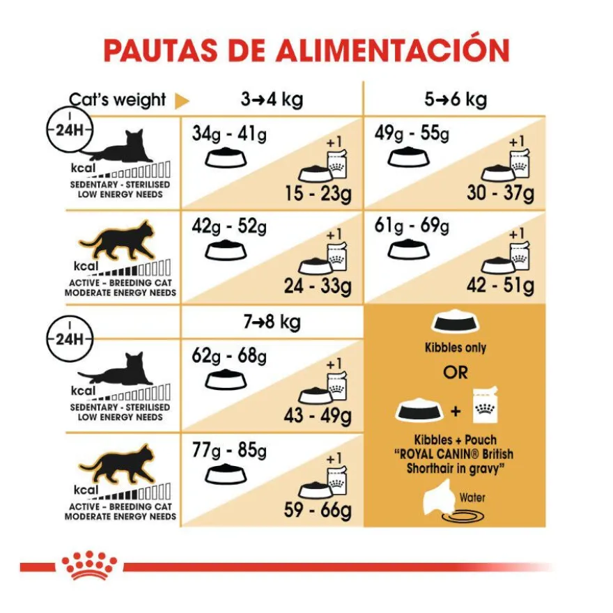 Royal Canin Adult British Shorthair ração para gatos