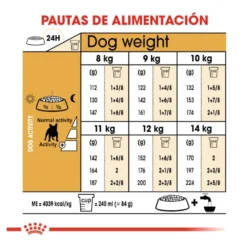 Royal Canin Adult Buldogue Francês ração para cães