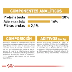 Royal Canin Adult Chihuahua ração para cães
