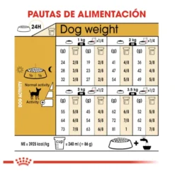 Royal Canin Adult Chihuahua ração para cães