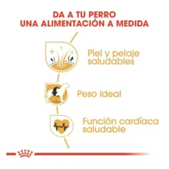 Royal Canin Adult Cocker ração para cães
