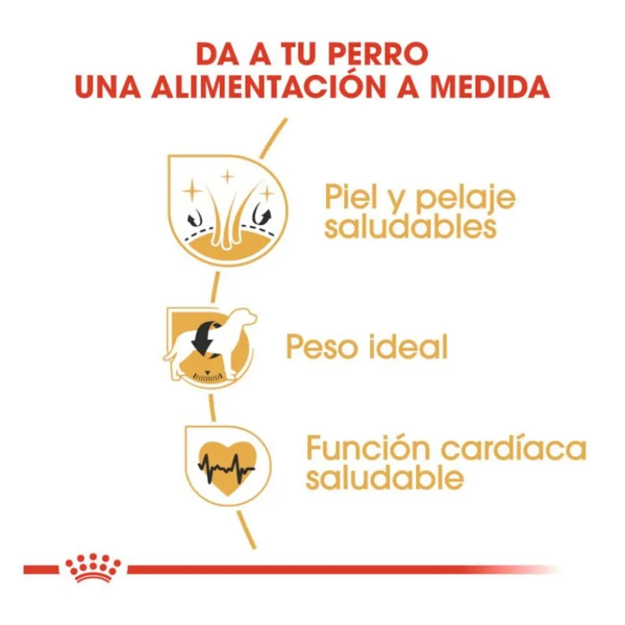 Royal Canin Adult Cocker ração para cães