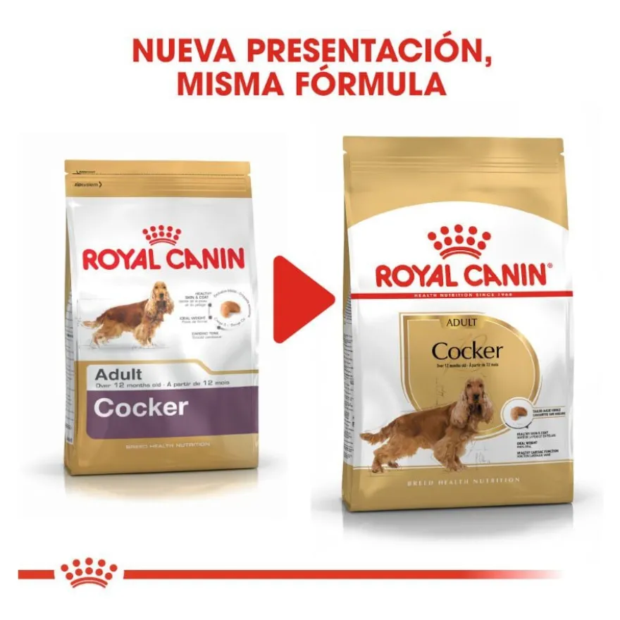 Royal Canin Adult Cocker ração para cães