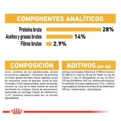 Royal Canin Adult Dachshund ração para cães