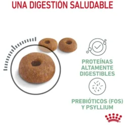 Royal Canin Adult Digestive ração para gatos