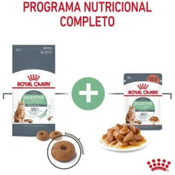 Royal Canin Adult Digestive ração para gatos