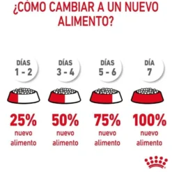 Royal Canin Adult Digestive ração para gatos