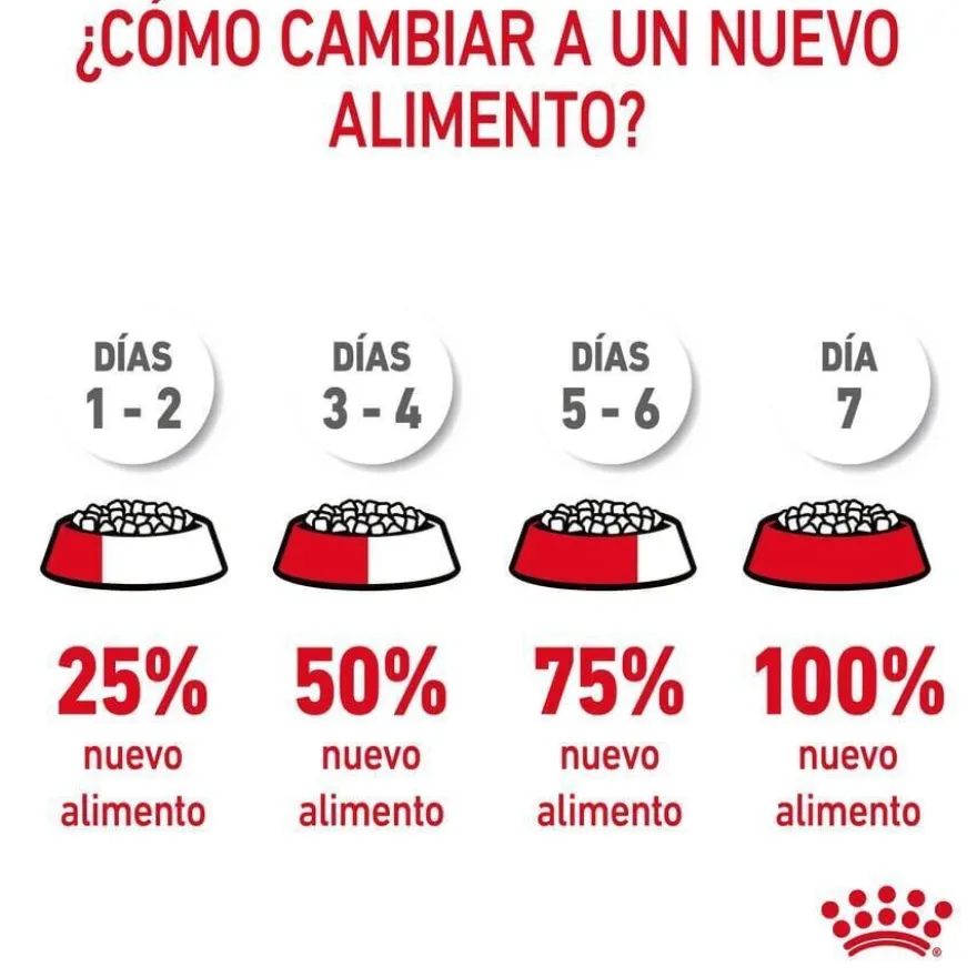 Royal Canin Adult Digestive ração para gatos
