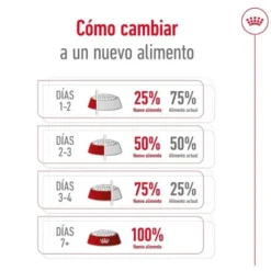 Royal Canin Adult Giant ração para cães