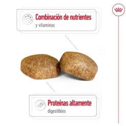 Royal Canin Adult Giant ração para cães