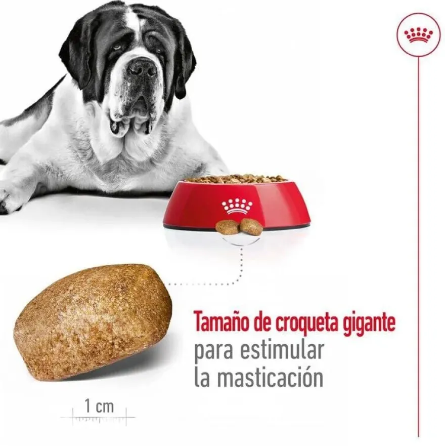 Royal Canin Adult Giant ração para cães