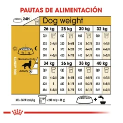 Royal Canin Adult Golden Retriever ração para cães