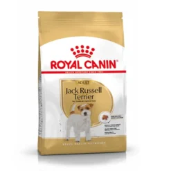 Royal Canin Adult Jack Russell Terrier ração para cães