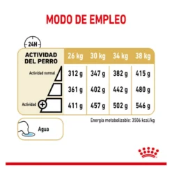 Royal Canin Adult 5+ Labrador ração para cães