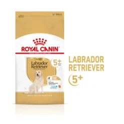 Royal Canin Adult 5+ Labrador ração para cães