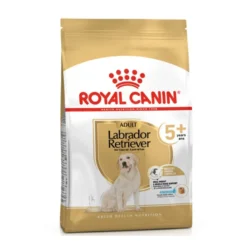 Royal Canin Adult 5+ Labrador ração para cães
