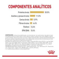 Royal Canin Adult 5+ Labrador ração para cães