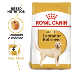 Royal Canin Adult Labrador Retriever ração para cães