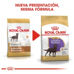 Royal Canin Adult Labrador Sterilised ração para cães