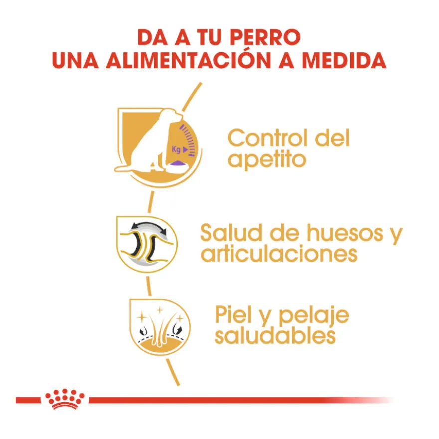 Royal Canin Adult Labrador Sterilised ração para cães