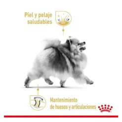 Royal Canin Adult Lulu da Pomerânia ração para cães