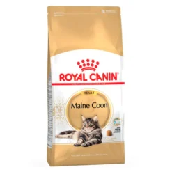 Royal Canin Adult Maine Coon ração para gatos