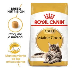 Royal Canin Adult Maine Coon ração para gatos