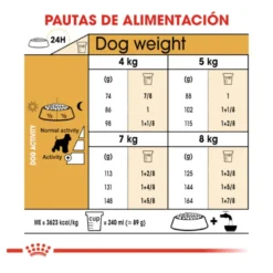 Royal Canin Adult Miniature Schnauzer Ração para cães