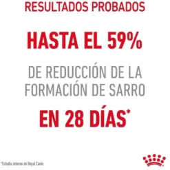 Royal Canin Adult Oral ração para gatos