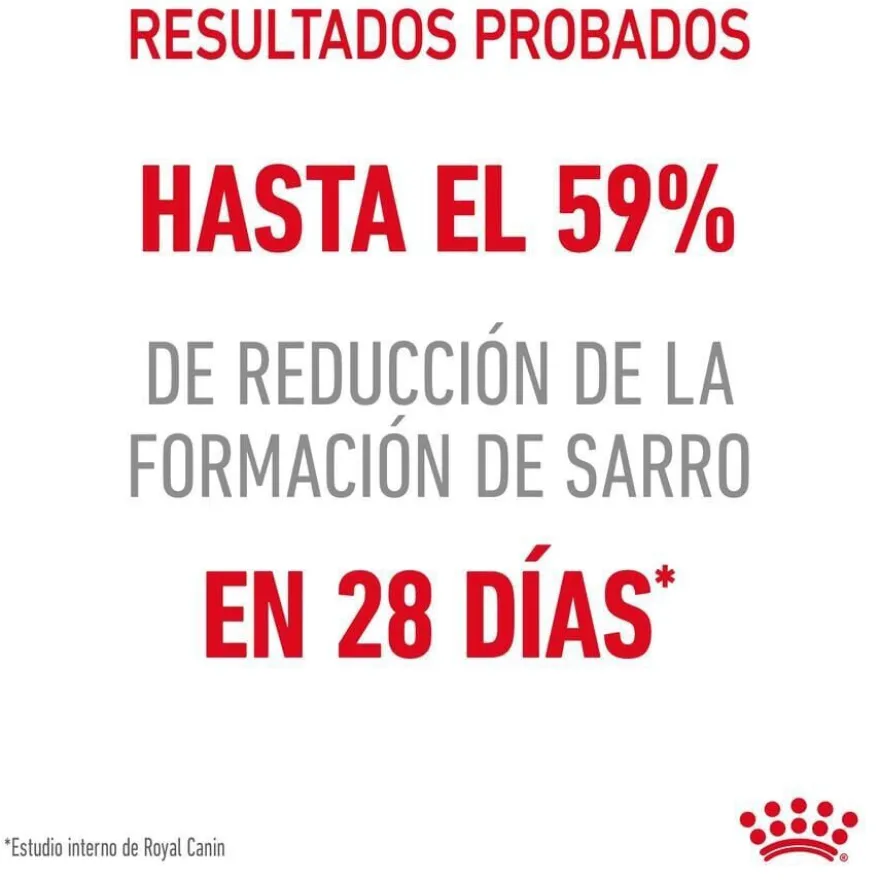 Royal Canin Adult Oral ração para gatos