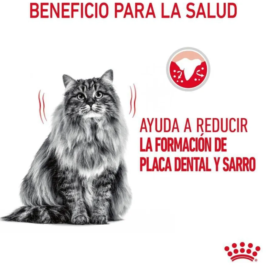 Royal Canin Adult Oral ração para gatos