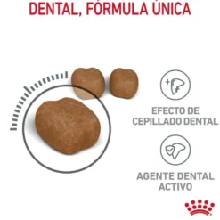 Royal Canin Adult Oral ração para gatos