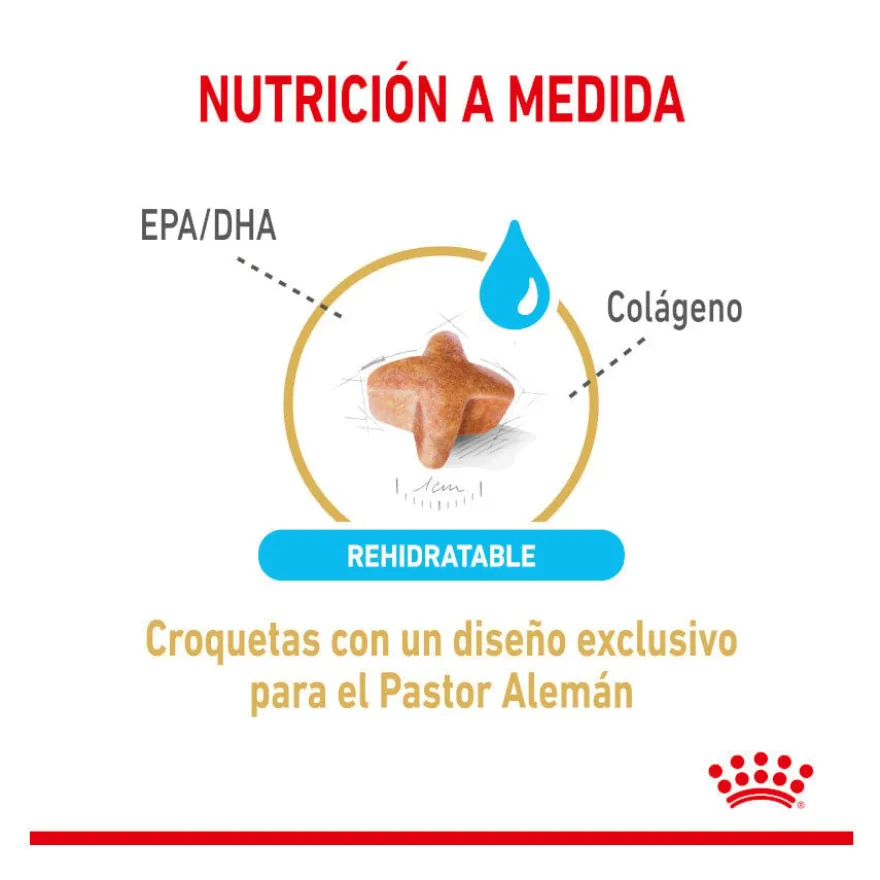 Royal Canin Adult 5+ Pastor Alemão ração para cães