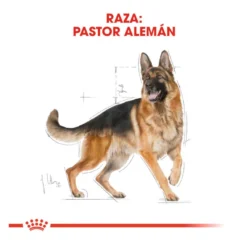 Royal Canin Adult Pastor Alemão ração para cães