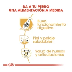 Royal Canin Adult Pastor Alemão ração para cães