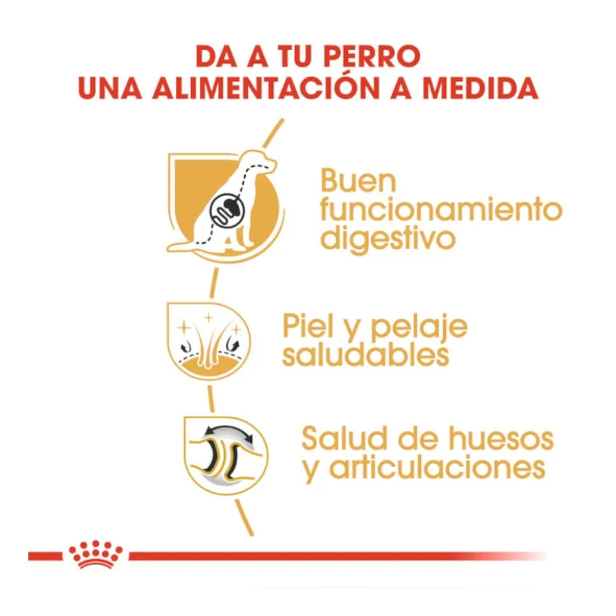 Royal Canin Adult Pastor Alemão ração para cães