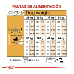Royal Canin Adult Pastor Alemão ração para cães