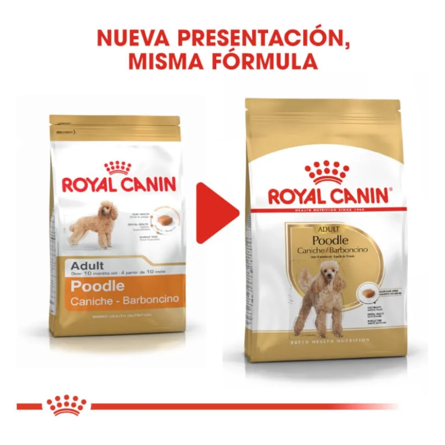 Royal Canin Adult Poodle ração para cães