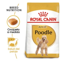 Royal Canin Adult Poodle ração para cães